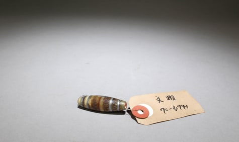 A Dzi Bead