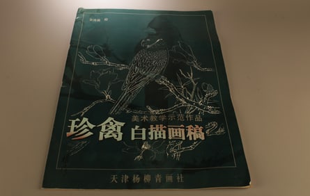 A Chinese Painting Book
