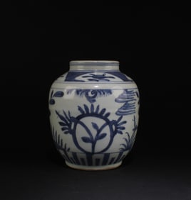 Chinese Blue & White Porcelain Jar