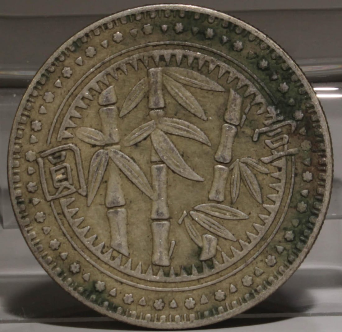 A Silver Coin: A Silver Coin. Diameter: 1.5". Weight: 26.8g