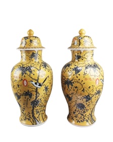 A Pair of Chinese Porcelain Vases