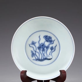 A Blue & White Bowl
