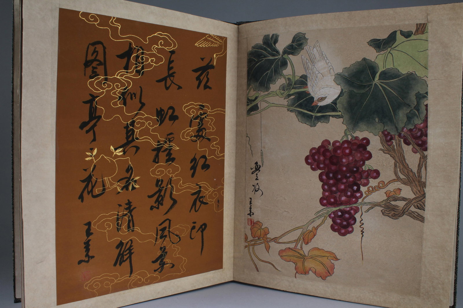 Chinese Painting album: Chinese Painting album, signed with seal attributed to Wang Shu. Dimensiion: 17.75" x 13.75"