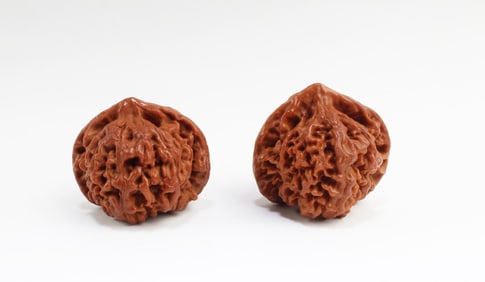 Two Carved Walnuts