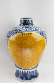 Chinese Porcelain Meiping Vase