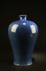Chinese Porcelain Meiping Vase