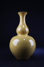 Chinese Porcelain Vase