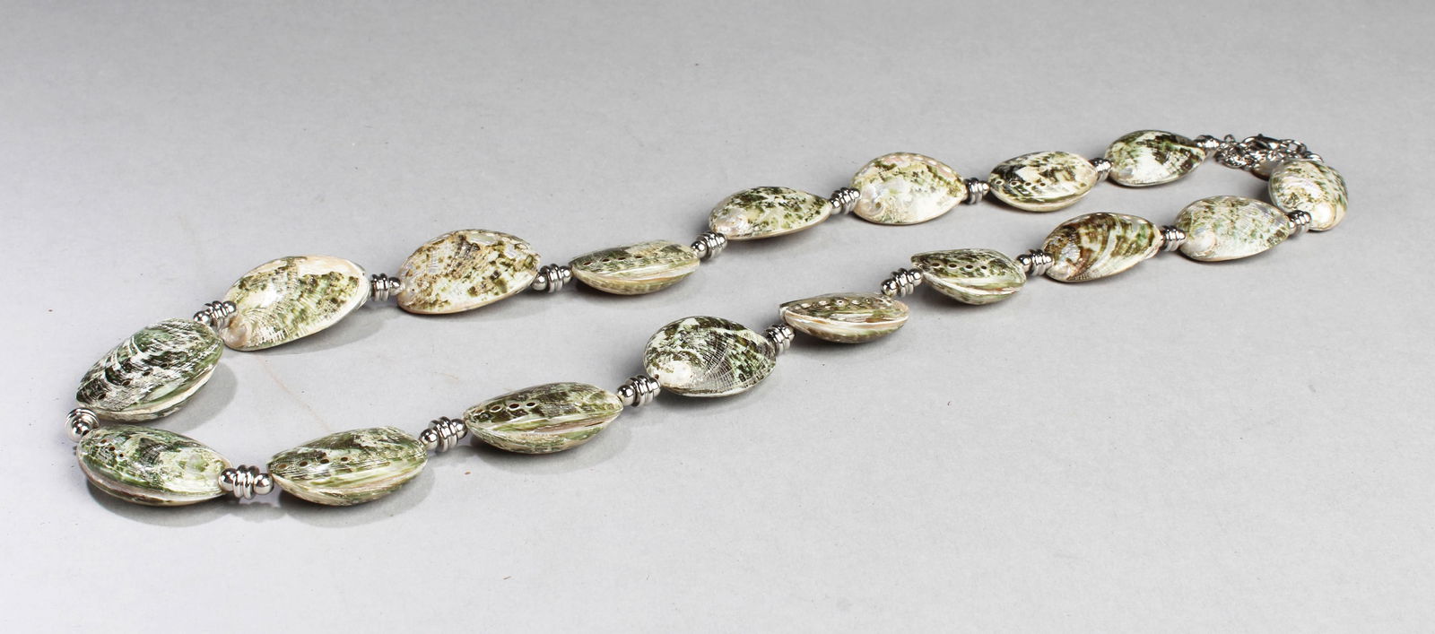 A Seashell Necklace: A Seashell Necklace. Length: 12"