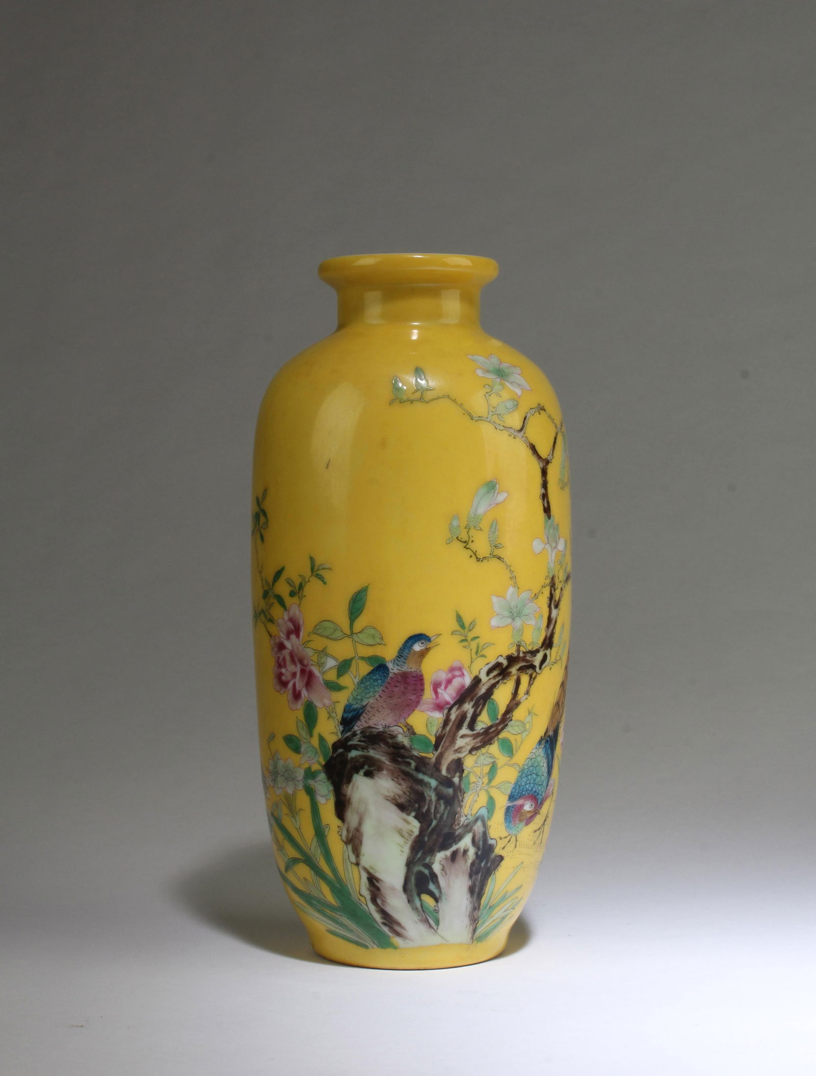 A Famille Jaune Porcelain Vase (1 of 5)