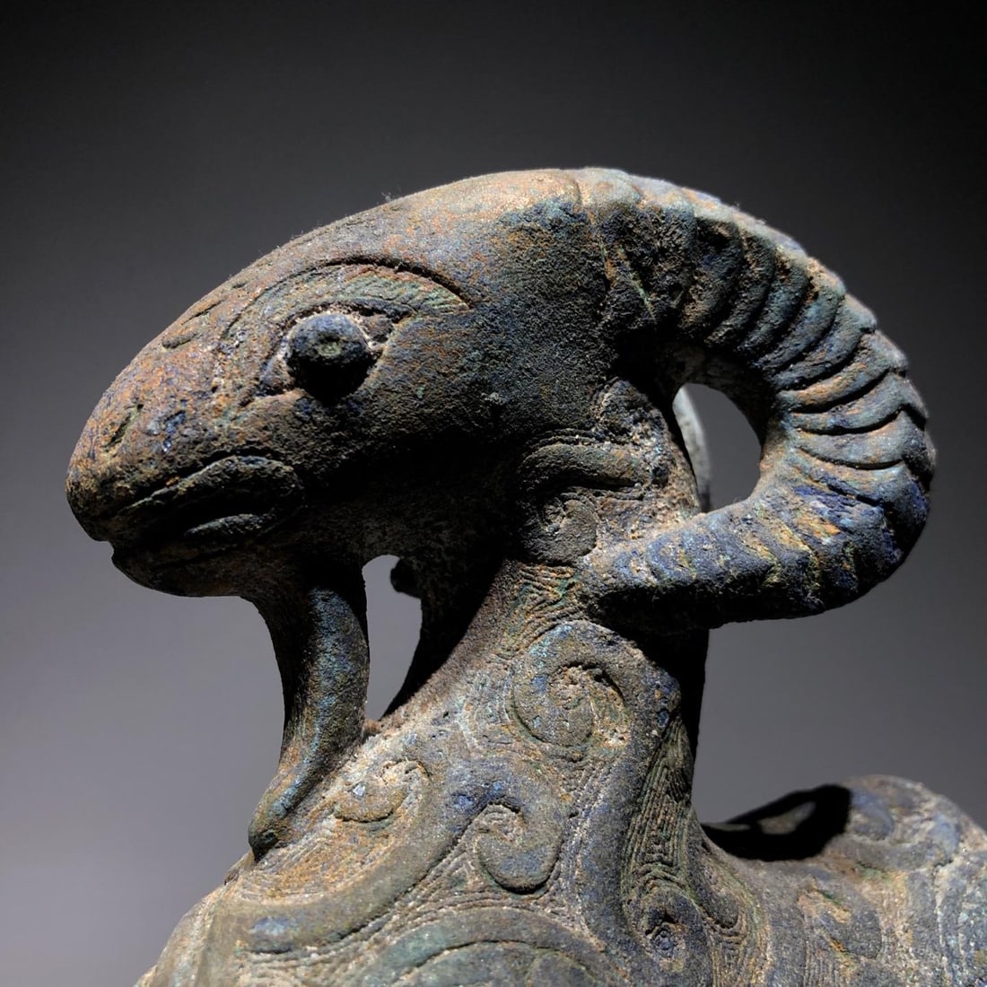 A Bronze Ram - 5