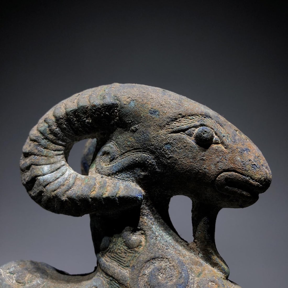 A Bronze Ram - 7