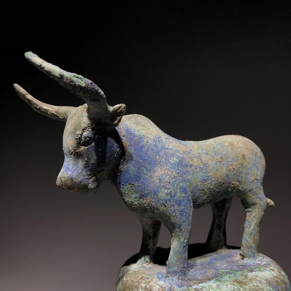 A Bronze Standing Ox - 7