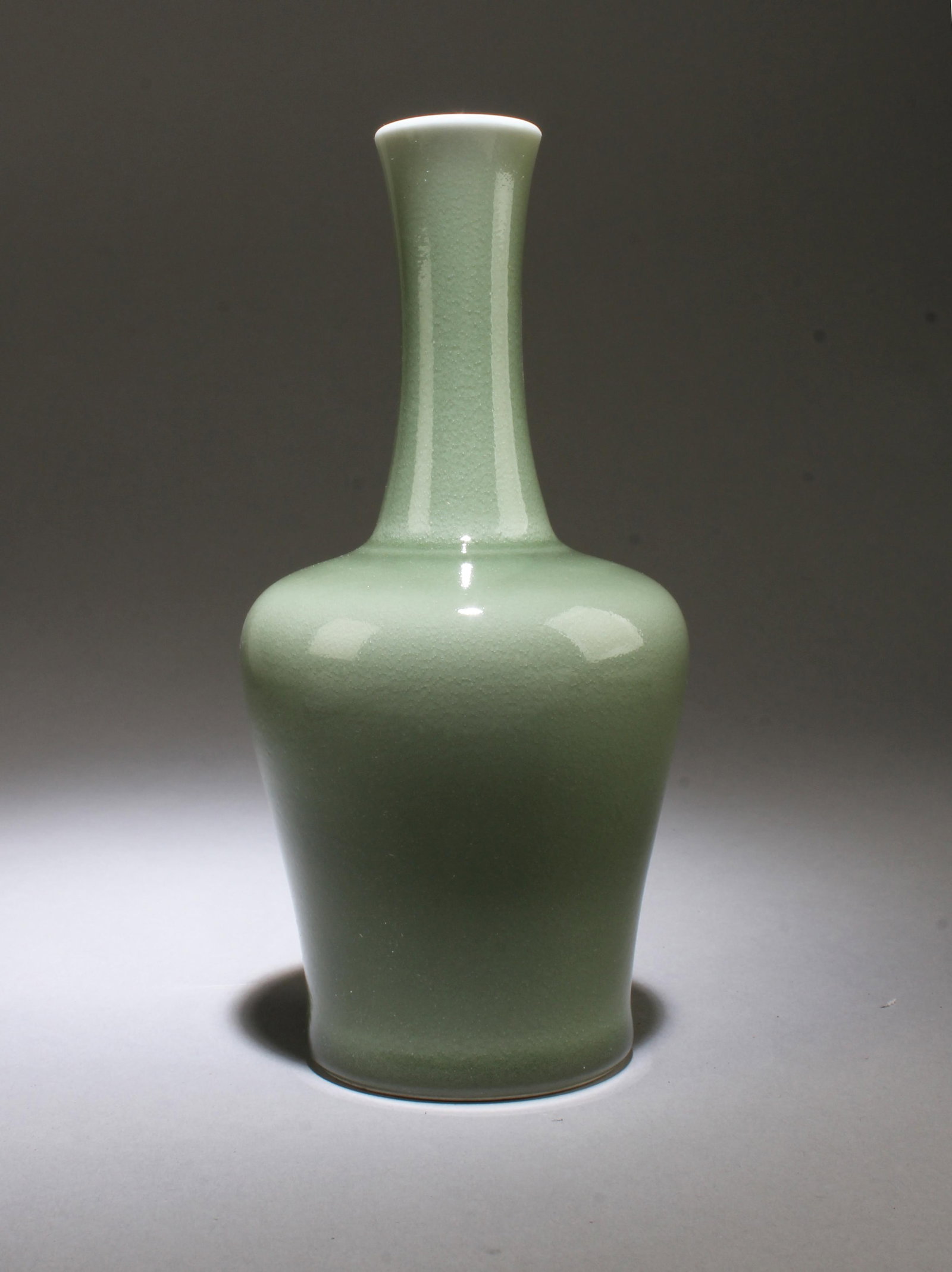 A Porcelain Vase (1 of 6)