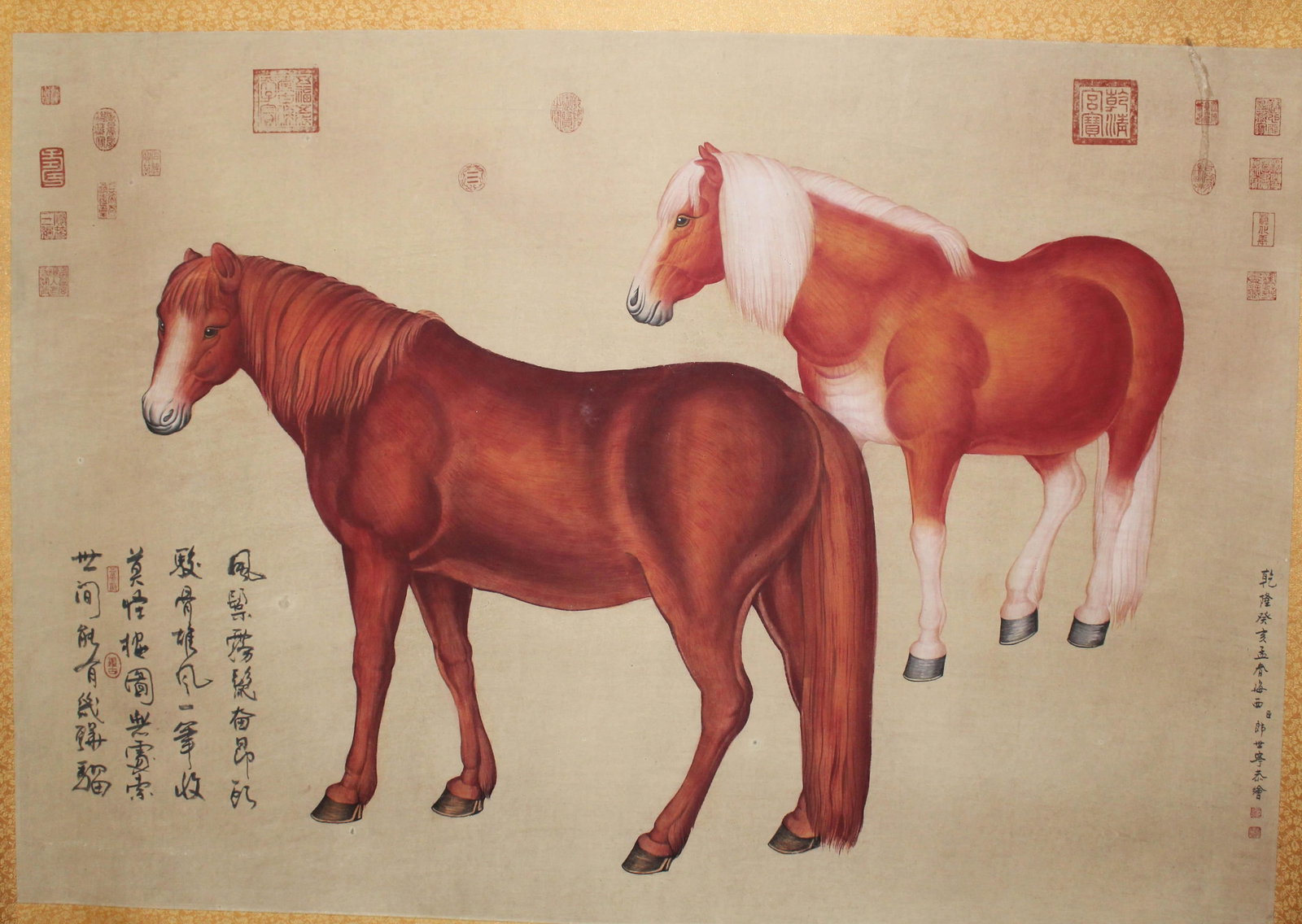 Chinese Painting: Ink and color on paper, depicting two horses, signed with seal attributed to Lang Shi Ning. Length: 54.5" Height: 37.25"