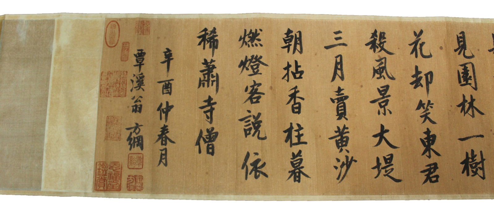 Chinese Scroll Calligraphy - 5