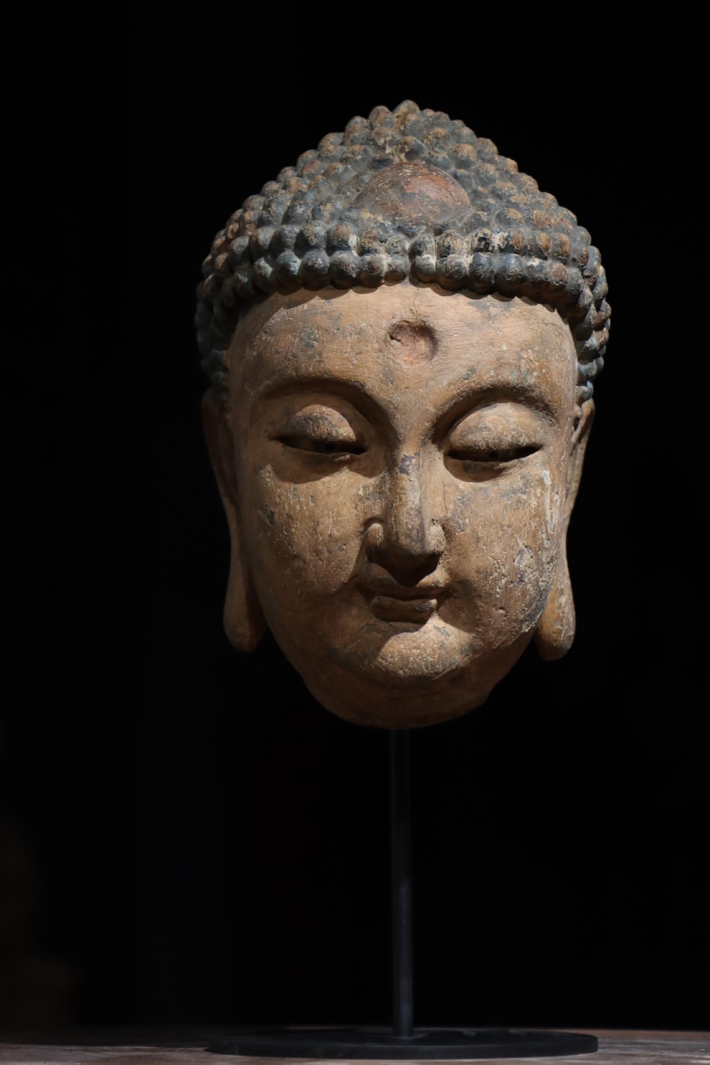 A SONG DYNASTY WOODCARVING OF SAKYAMUNI BUDDHA'S HEAD: H:37cm(14.57in) H:24cm(9.45in)A painted wooden Buddha head sculpture with neat spiral hair and a gentle, serene facial expression, featuring aged wood texture, an antique Chinese wooden Buddha head or
