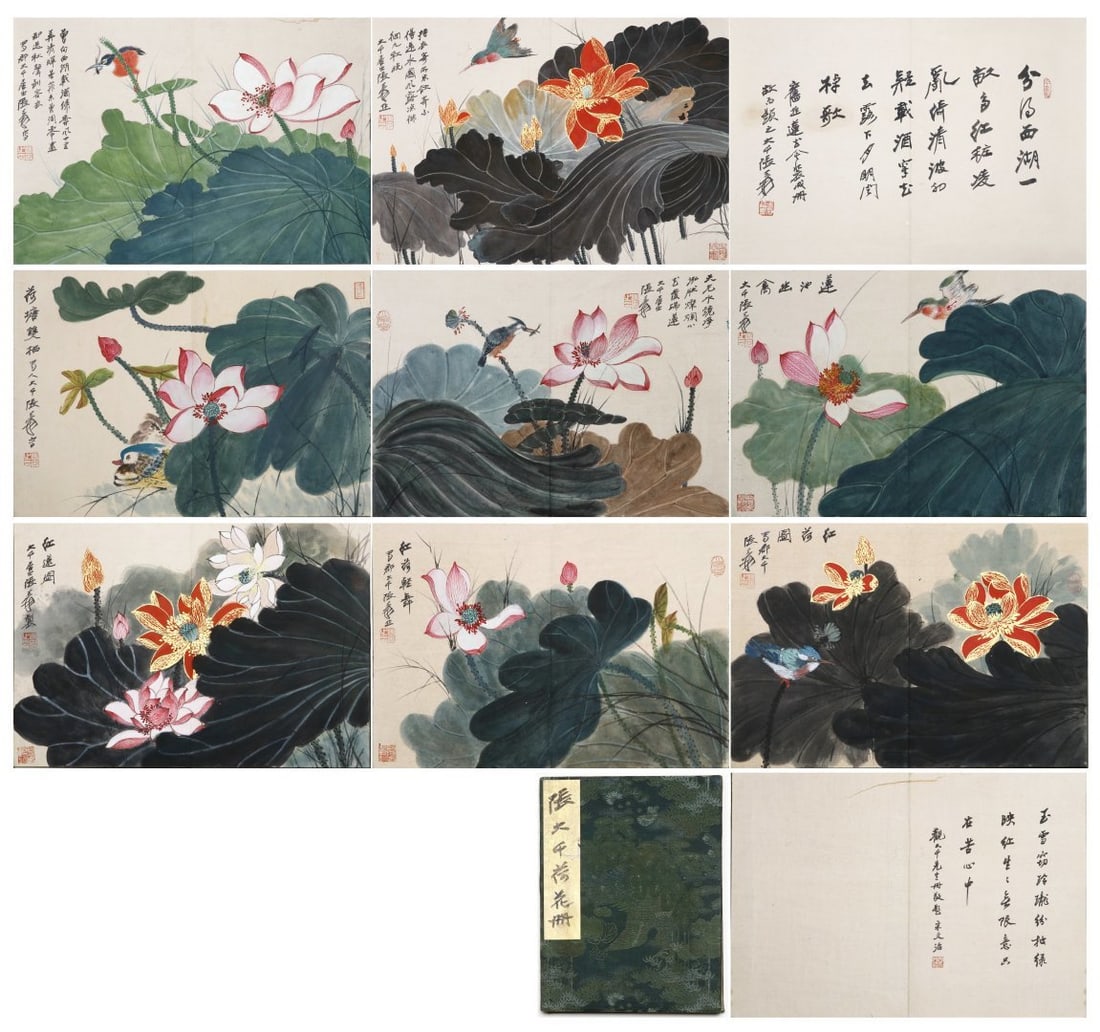 ZHANG DAQIAN (1899-1983) LOTUS MASTERPIECES ALBUM: W:35cmH:25cm