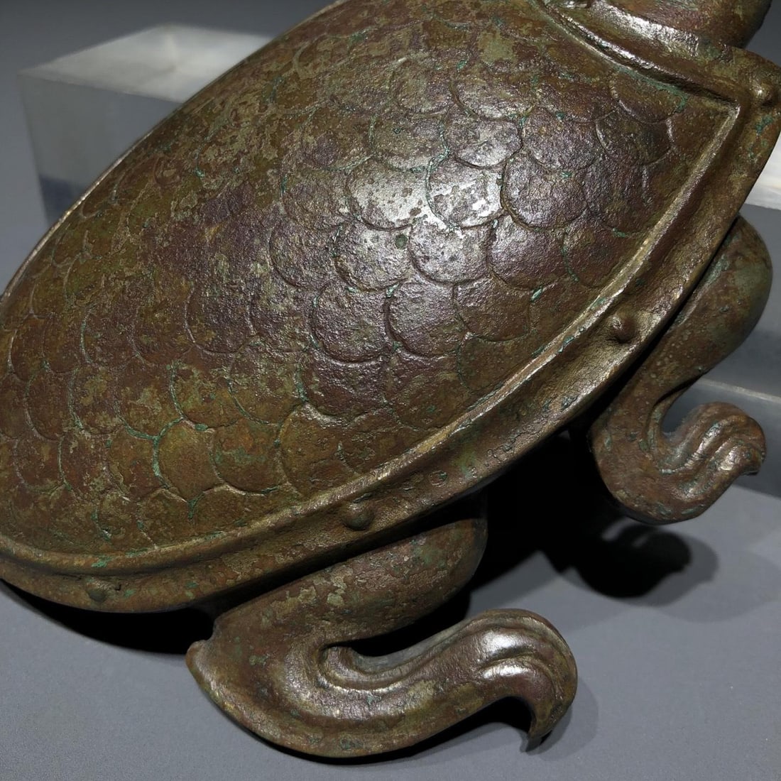 A Bronze Paperweight Turtle - 10