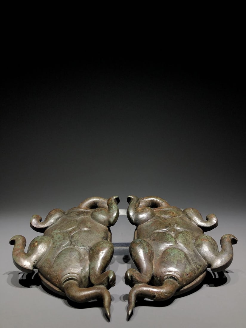 A Bronze Paperweight Turtle - 12