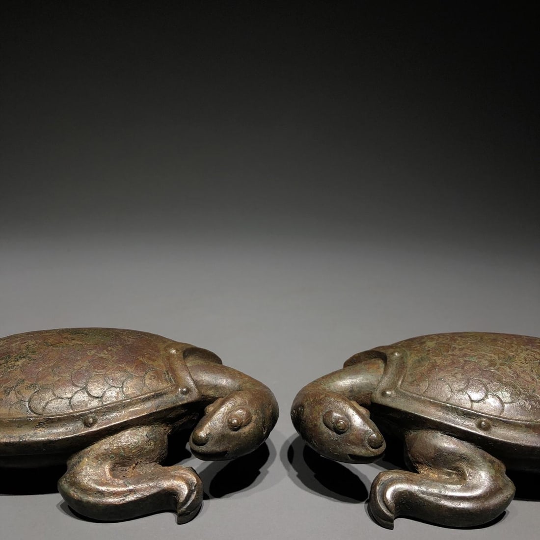 A Bronze Paperweight Turtle - 2