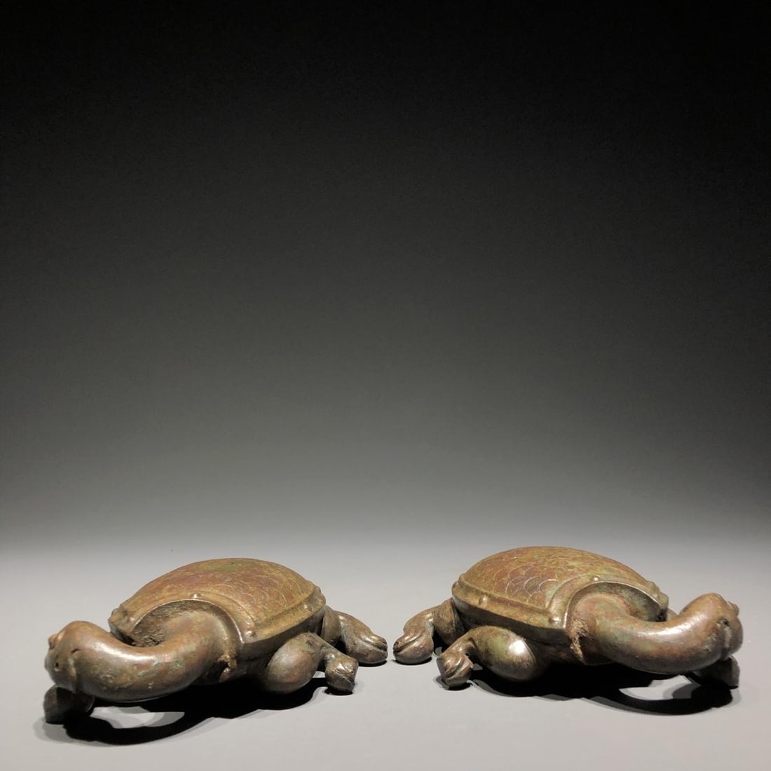 A Bronze Paperweight Turtle - 3