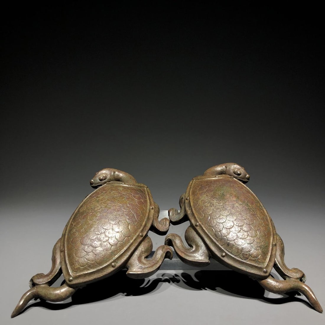 A Bronze Paperweight Turtle - 4