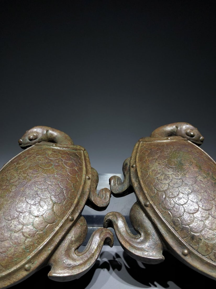 A Bronze Paperweight Turtle - 5
