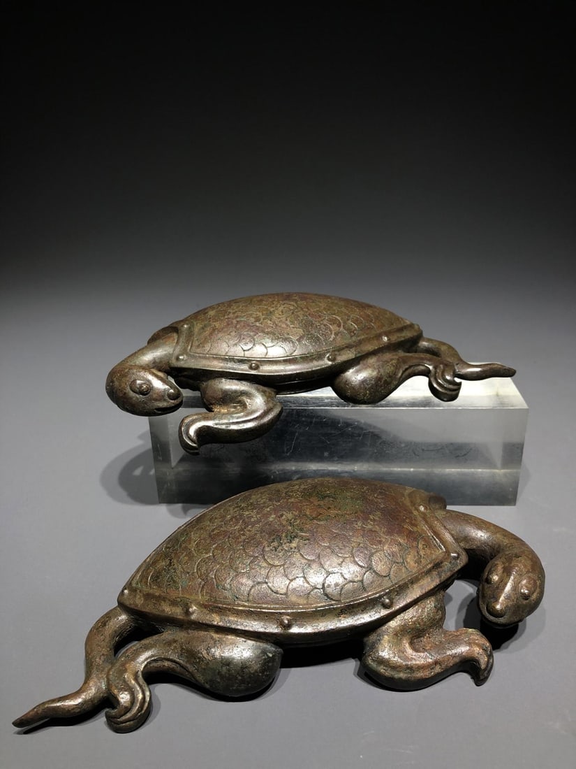 A Bronze Paperweight Turtle - 6