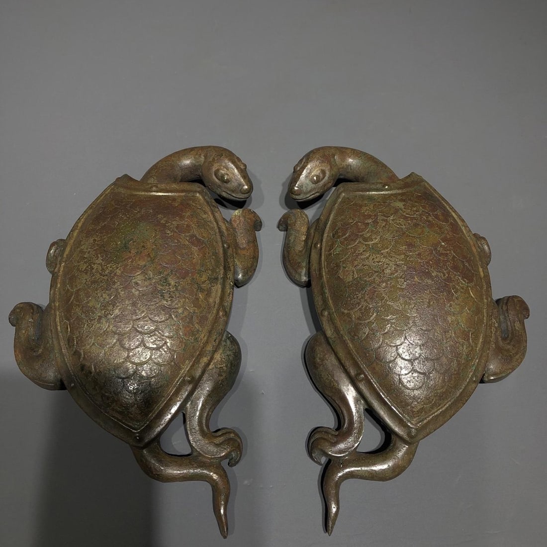 A Bronze Paperweight Turtle - 7
