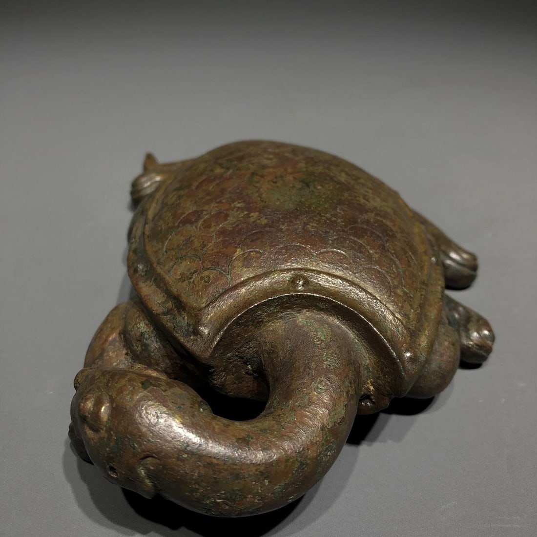 A Bronze Paperweight Turtle - 8