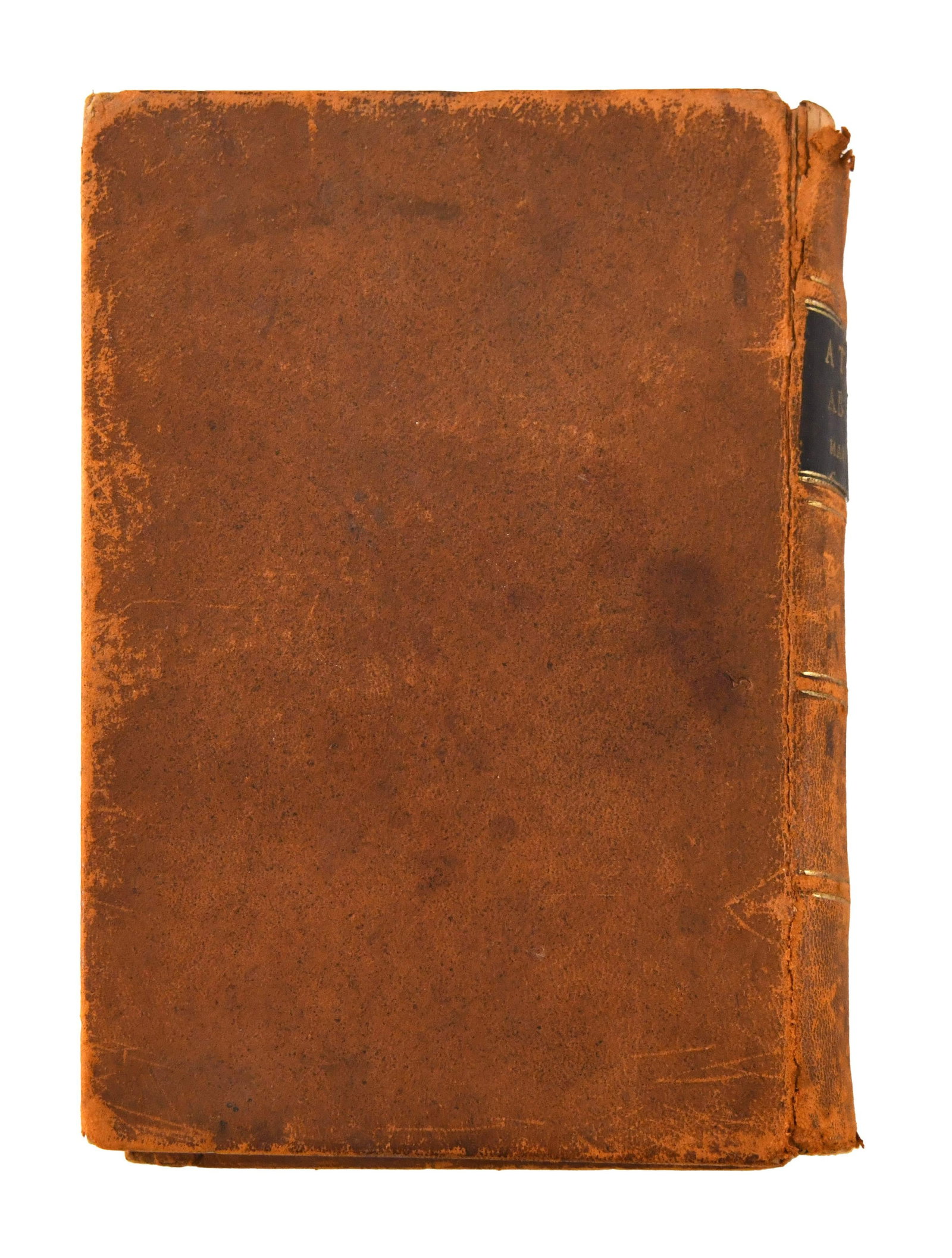 Mark Twain - Signed A Tramp Abroad - 5