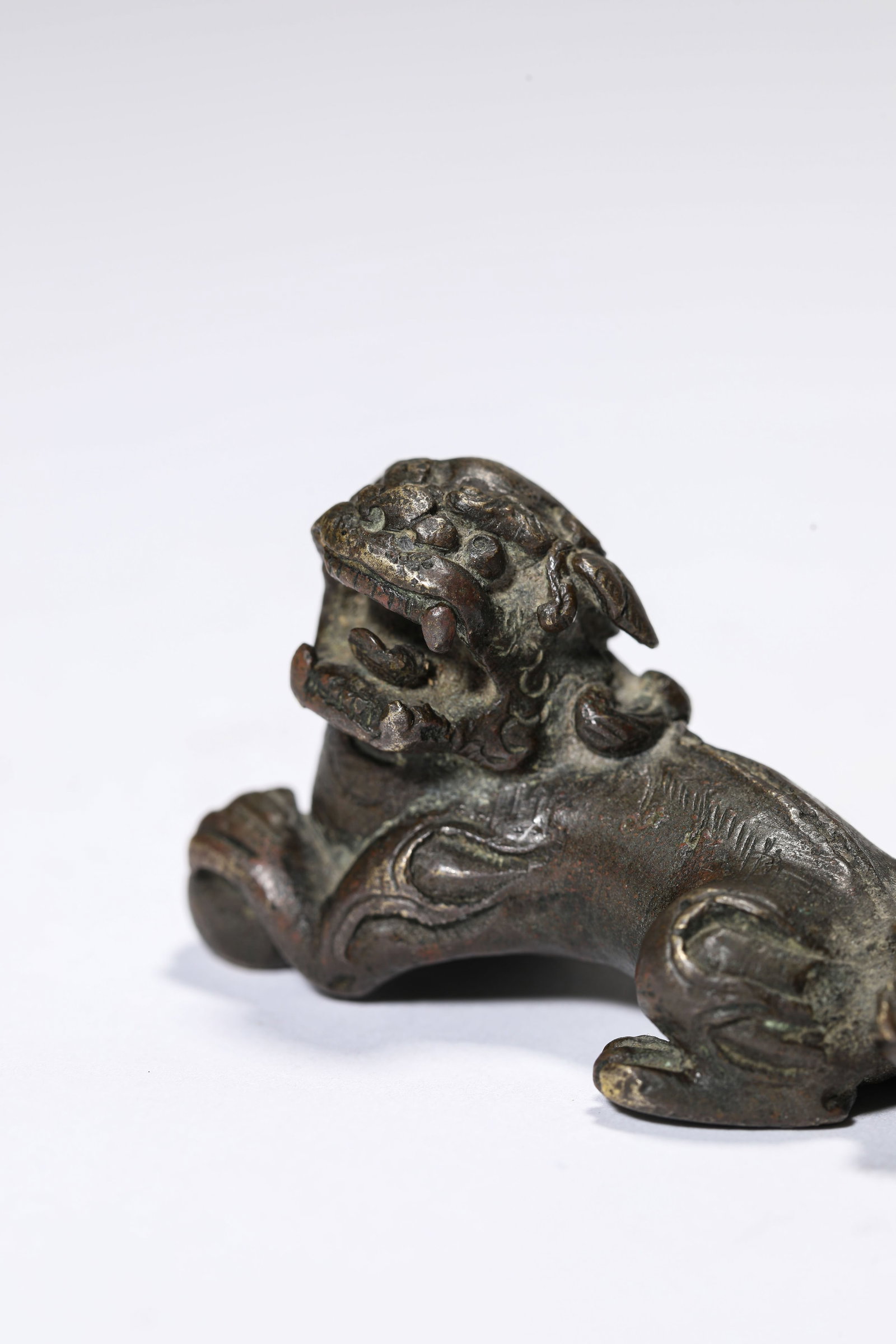 A Bronze Lion - 4