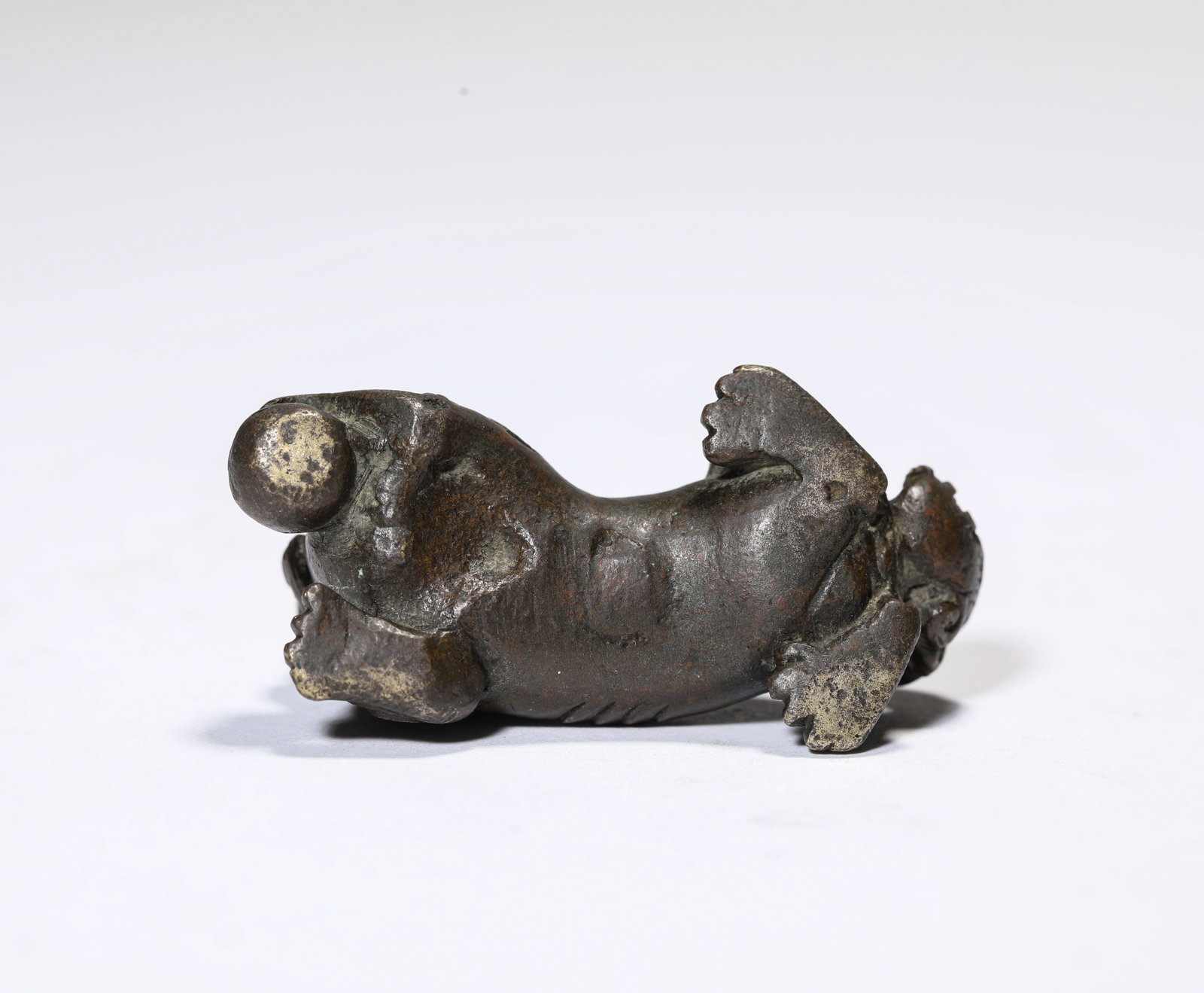 A Bronze Lion - 5