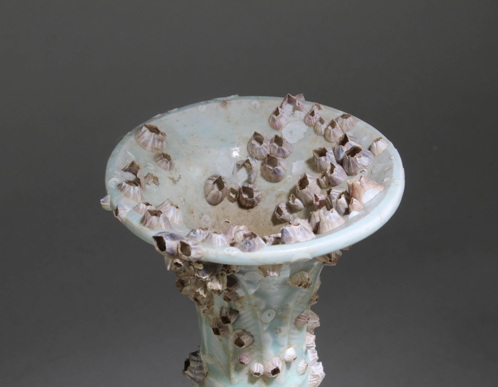 A Chinese Ceramic Vase - 4