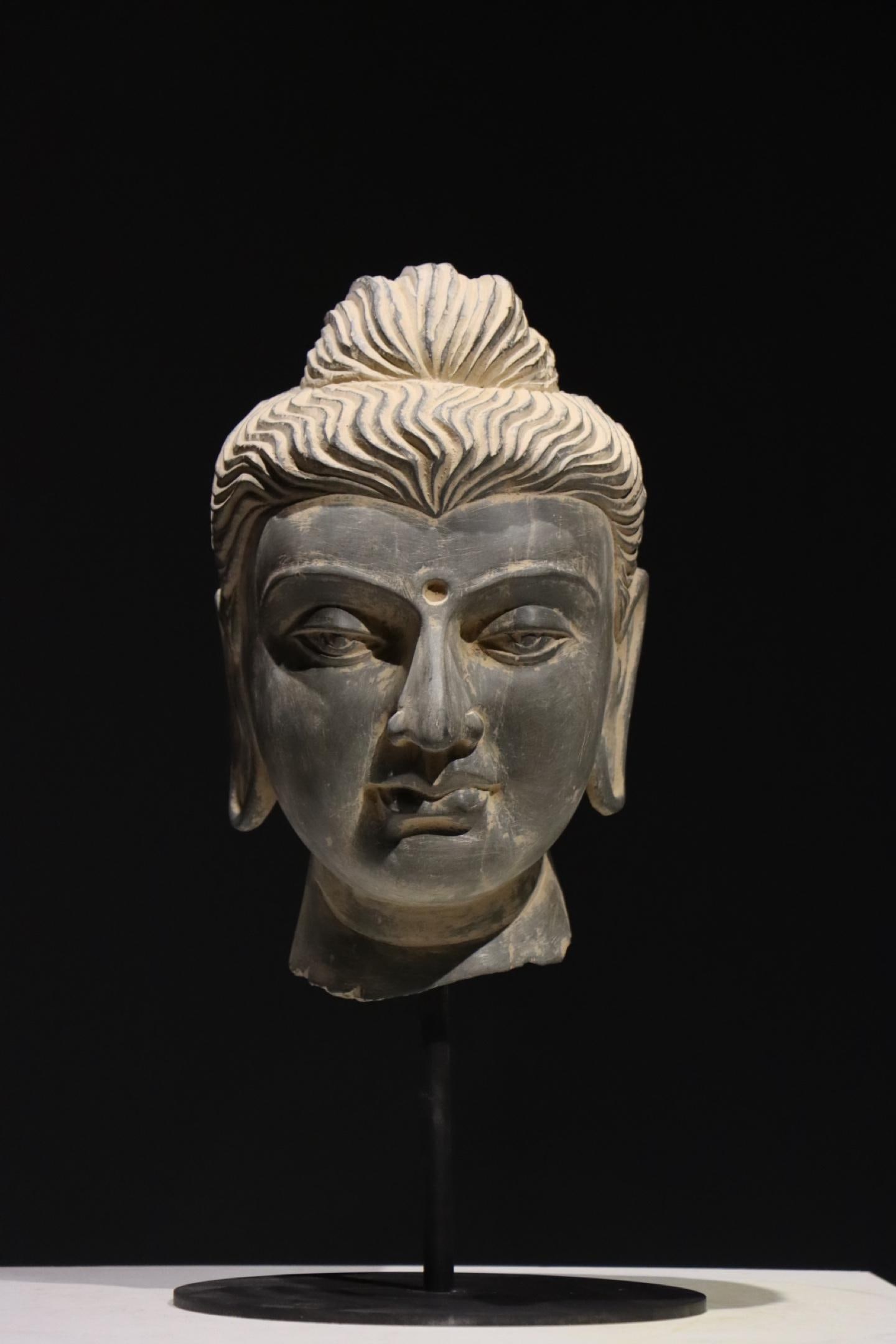 4TH CENTURY BLUESTONE GANDHARA BUDDHA HEAD (1 of 10)