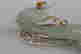 item-50346166=3