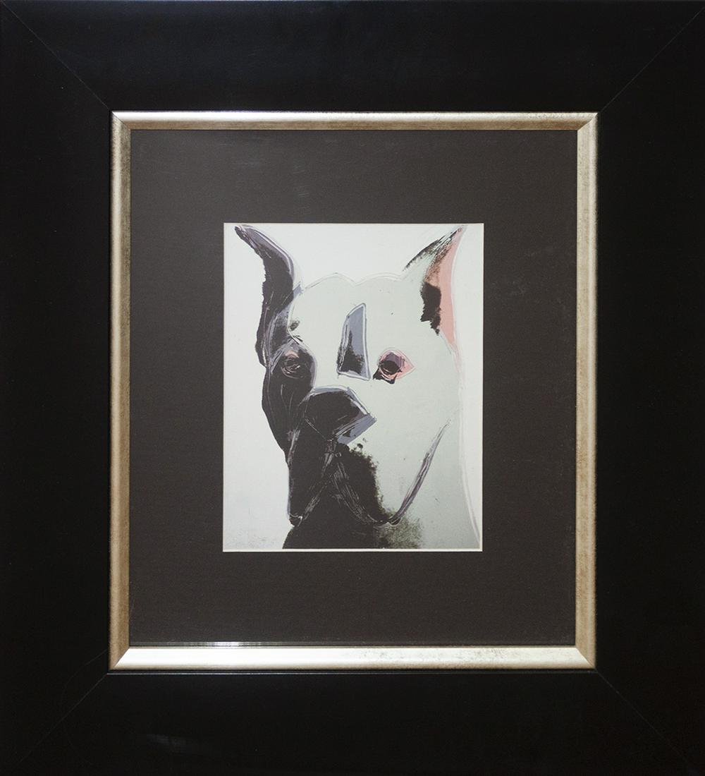 Andy Warhol Color Plate Lithograph: Andy Warhol color Plate lithograph Approx 24x20 inches and includes certificate Custom framed.