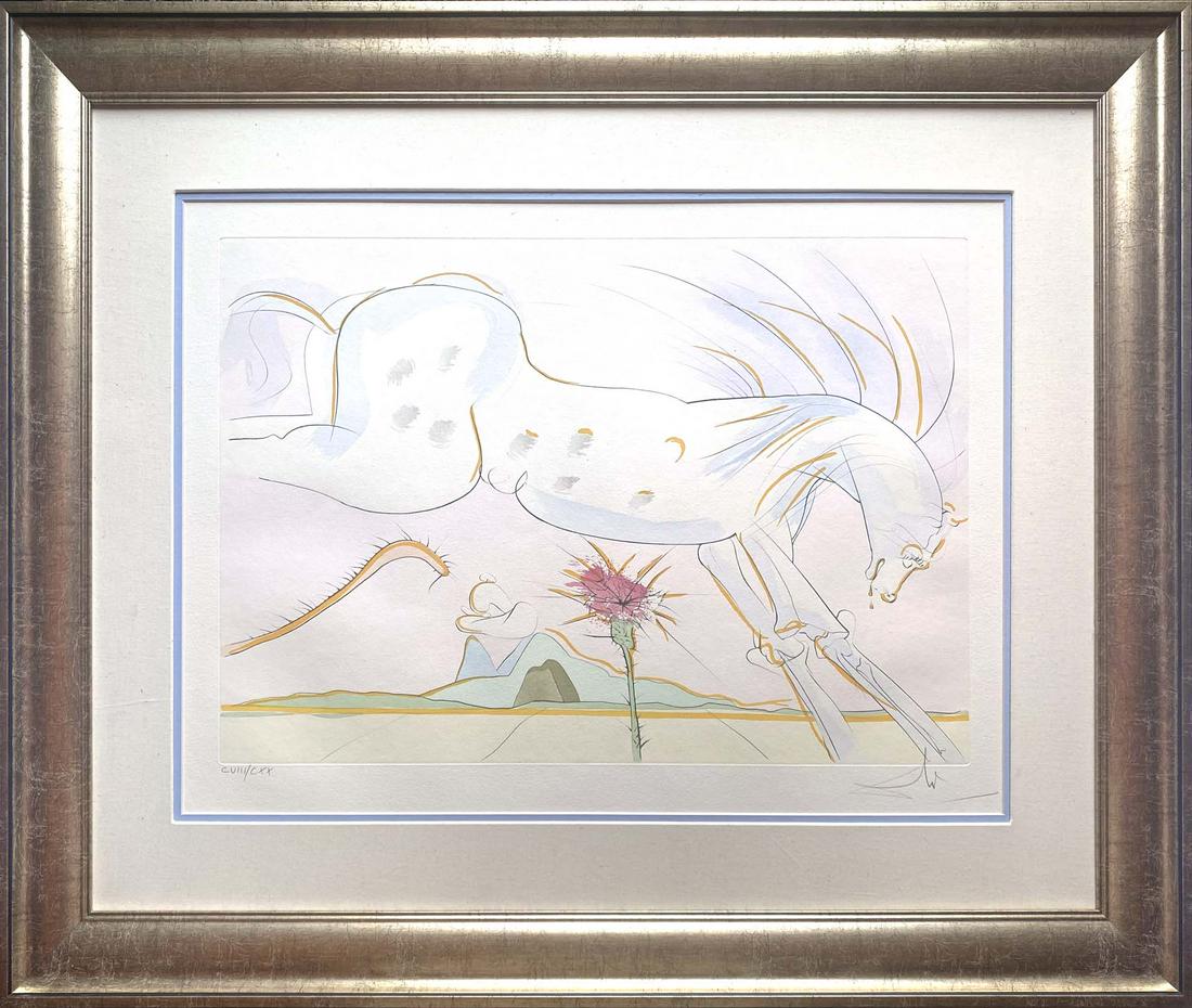 Salvador Dali Limited Edition Original Lithograph Hand signed and numbered (1 of 1)