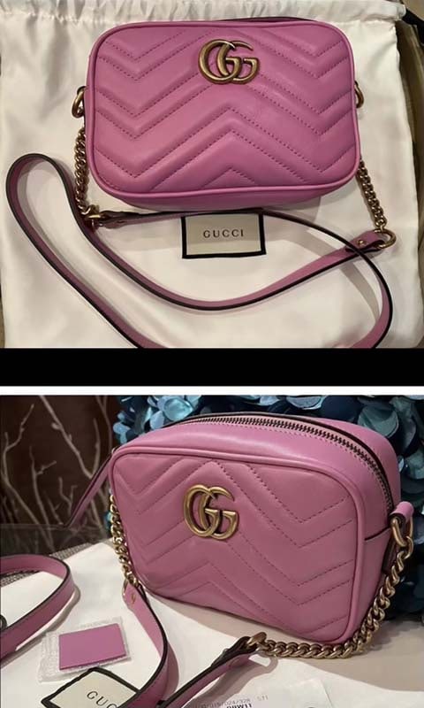 Gucci Handbag (1 of 1)