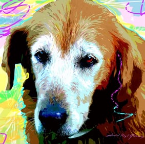 Original mixed media on canvas by David Lloyd Glover