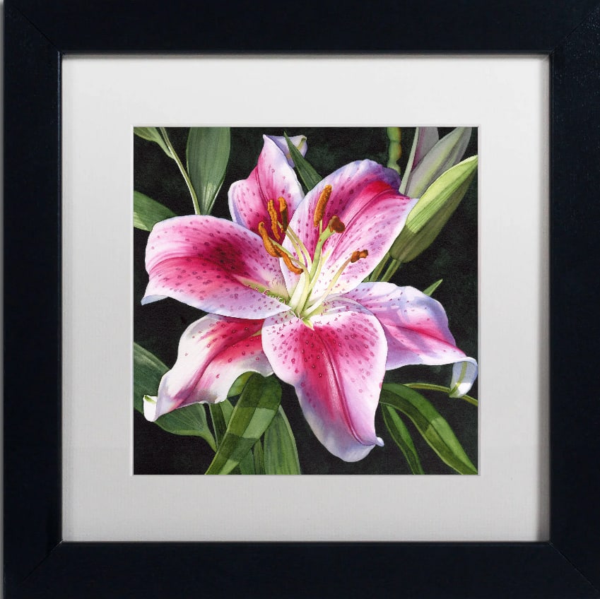 Donna Lesley Limited Edition #11 Stargazer Lily ink on paper hand signed by the estate.: Donna Lesley Limited Edition #11 Stargazer Lily ink on paper hand signed by the estate. approx 30x20 inches Hand signed by the Estate and numbered. Includes certificate.