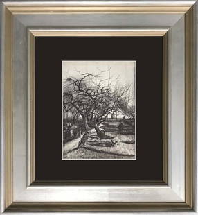 Vincent Van Gogh color plate Lithograph after Van Gogh: Vincent Van Gogh color plate Lithograph Approx 24x20 inches Includes certificate Custom framed