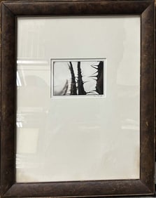 Guido Mocafico Delebrating Thorns Hand signed photograph