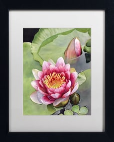 Donna Lesley #30 Water Lily #1 Limited Edition ink on paper hand signed by the estate.