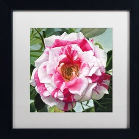 Donna Lesley #63 Candy Cane Rose. Limited Edition ink on paper hand signed by the estate.