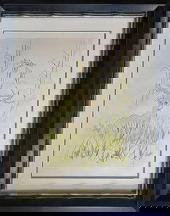 Salvador Dali Limited Edition Lithograph in colors Hand signed and numbered Luxury: Salvador Dali Fables of Fontaine Lithograph in Colors Limited Edition Hand signed and numbered 1970. Approx 30x24 inches. Custom framed and includes documentation.