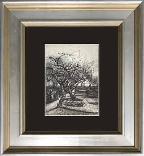 Vincent Van Gogh color plate Lithograph after Van Gogh: Vincent Van Gogh color plate Lithograph. Approx 24x20 inches. Includes certificate. Custom framed.
