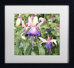 Donna Lesley Limited Edition #71 Tricolor Fuchsia ink on paper Limited Edition hand signed by the