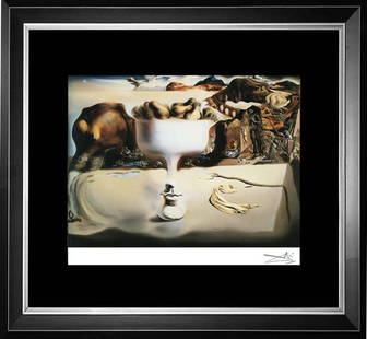Salvador Dali color plate lithograph on paper: Salvador Dali color plate lithograph on paper. Approx 24x20 inches Custom framed and includes certificate.