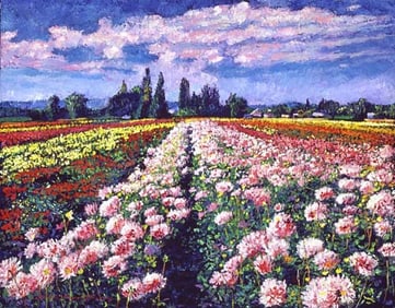 Field of Dahlias Original Mixed Media on canvas David Lloyd Glover